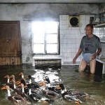 Ducks and Floods