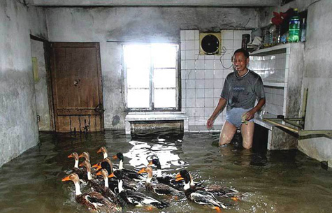Ducks and Floods